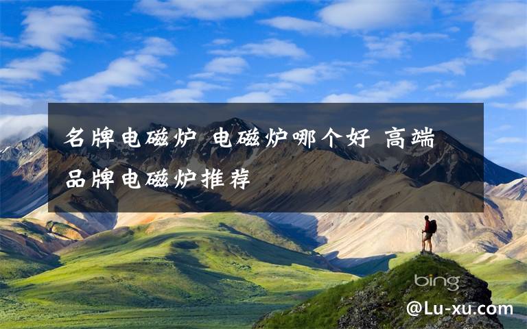名牌电磁炉 电磁炉哪个好 高端品牌电磁炉推荐文章配图