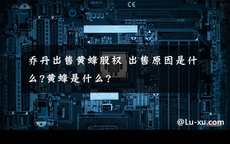 乔丹出售黄蜂股权 出售原因是什么?黄蜂是什么?文章配图