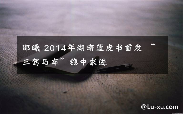 邵曦 2014年湖南蓝皮书首发 “三驾马车”稳中求进文章配图