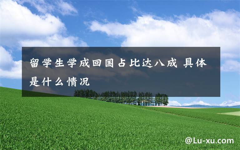 留学生学成回国占比达八成 具体是什么情况文章配图