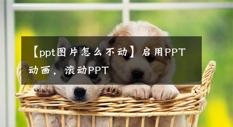 【ppt图片怎么不动】启用PPT动画，滚动PPT文章配图