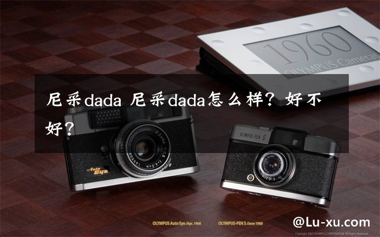 尼采dada 尼采dada怎么样？好不好？文章配图