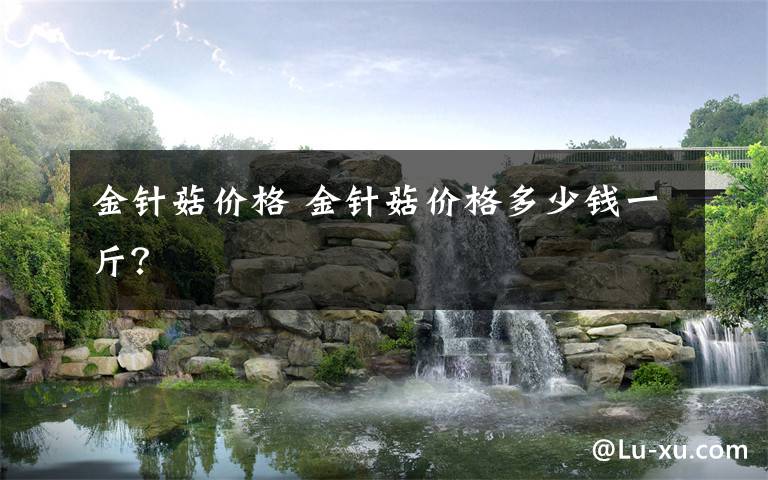 金针菇价格 金针菇价格多少钱一斤？文章配图