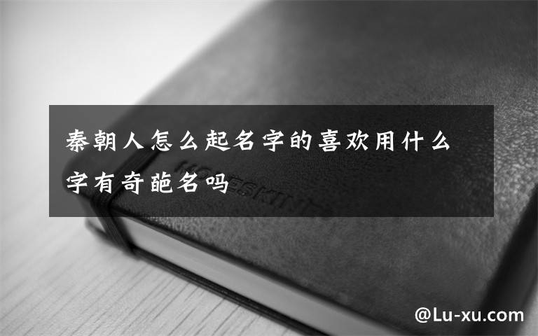 秦朝人怎么起名字的喜欢用什么字有奇葩名吗文章配图