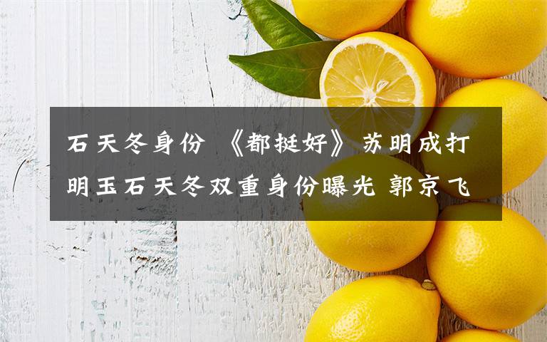 石天冬身份 《都挺好》苏明成打明玉石天冬双重身份曝光 郭京飞求生欲很强文章配图