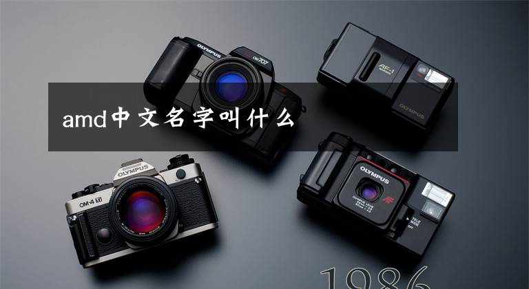 amd中文名字叫什么文章配图