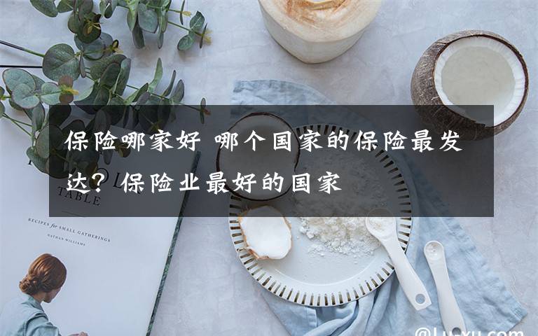 保险哪家好 哪个国家的保险最发达？保险业最好的国家文章配图