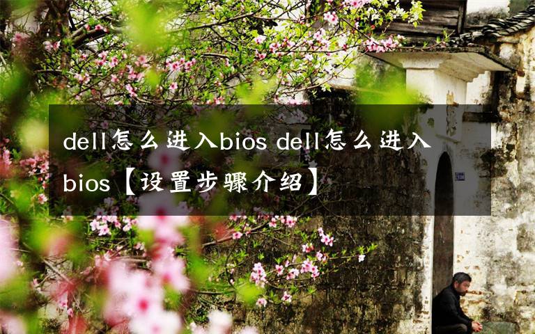 dell怎么进入bios dell怎么进入bios【设置步骤介绍】文章配图