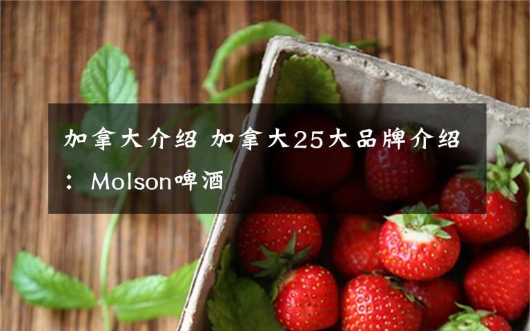 加拿大介绍 加拿大25大品牌介绍：Molson啤酒