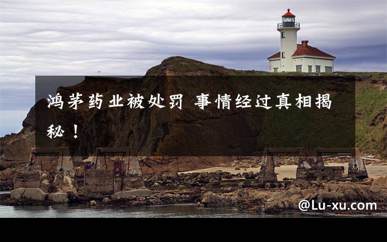鸿茅药业被处罚 事情经过真相揭秘！文章配图