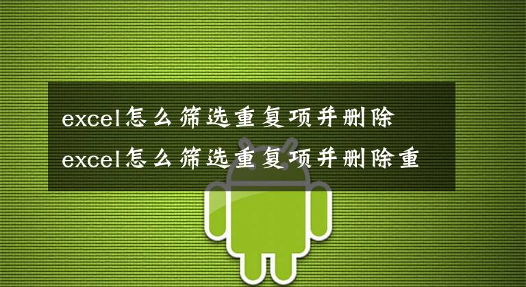 excel怎么筛选重复项并删除 excel怎么筛选重复项并删除重复项文章配图