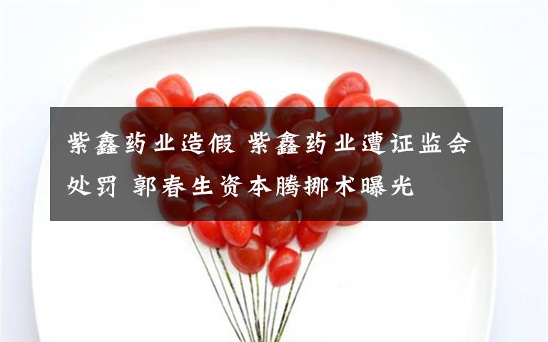 紫鑫药业造假 紫鑫药业遭证监会处罚 郭春生资本腾挪术曝光文章配图
