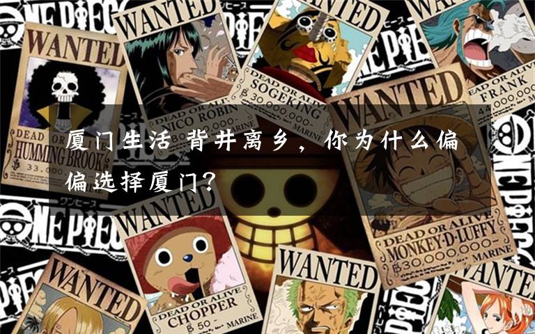 厦门生活 背井离乡，你为什么偏偏选择厦门？文章配图