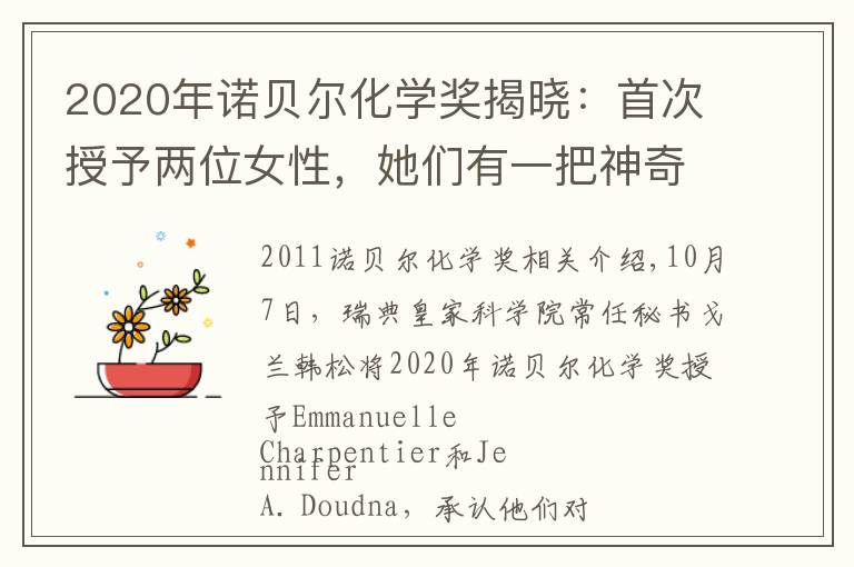 2020年诺贝尔化学奖揭晓：首次授予两位女性，她们有一把神奇的“剪刀”文章配图