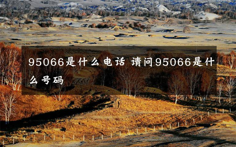 95066是什么电话 请问95066是什么号码