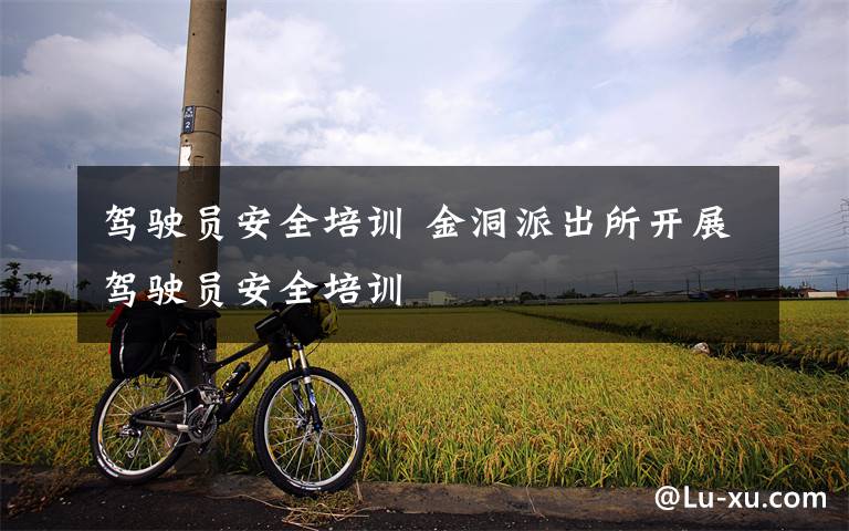 驾驶员安全培训 金洞派出所开展驾驶员安全培训文章配图