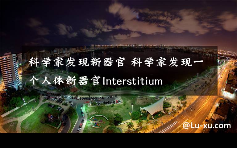 科学家发现新器官 科学家发现一个人体新器官Interstitium