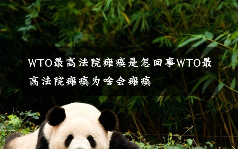 WTO最高法院瘫痪是怎回事WTO最高法院瘫痪为啥会瘫痪文章配图