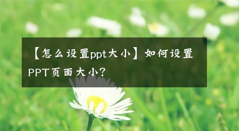 【怎么设置ppt大小】如何设置PPT页面大小？文章配图
