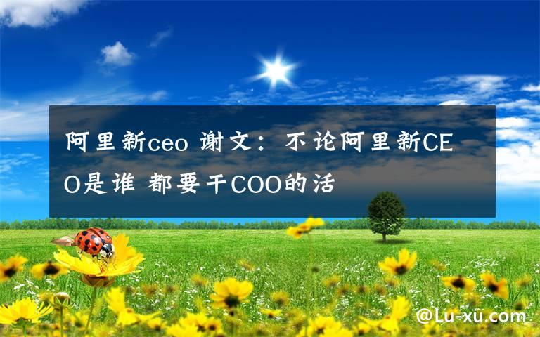 阿里新ceo 谢文：不论阿里新CEO是谁 都要干COO的活