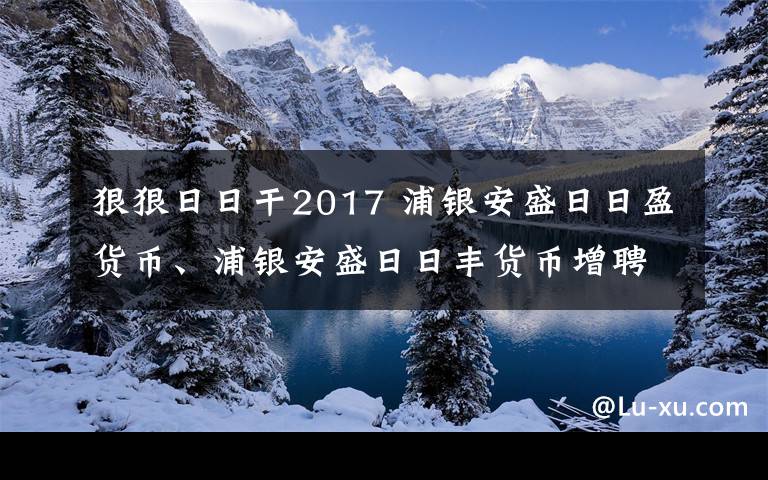 狠狠日日干2017 浦银安盛日日盈货币、浦银安盛日日丰货币增聘刘大巍为基金经理