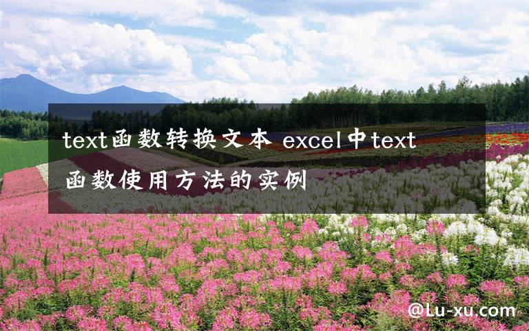 text函数转换文本 excel中text函数使用方法的实例文章配图