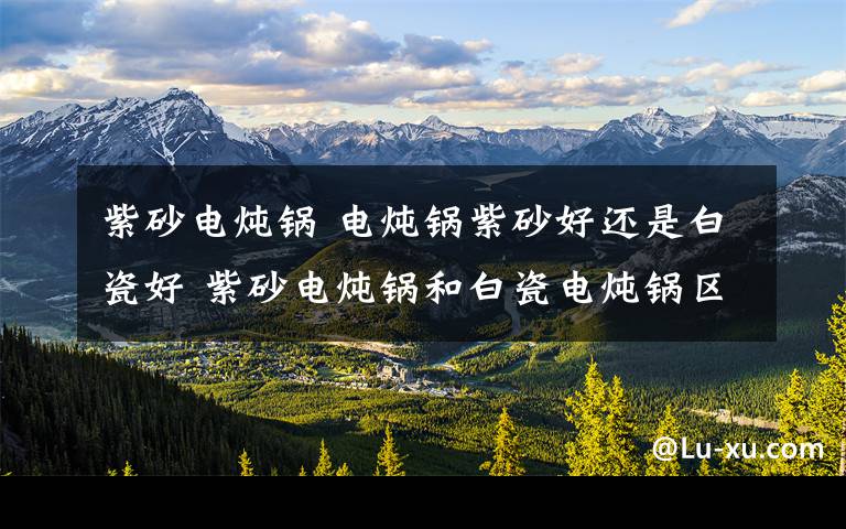 紫砂电炖锅 电炖锅紫砂好还是白瓷好 紫砂电炖锅和白瓷电炖锅区别【详解】文章配图