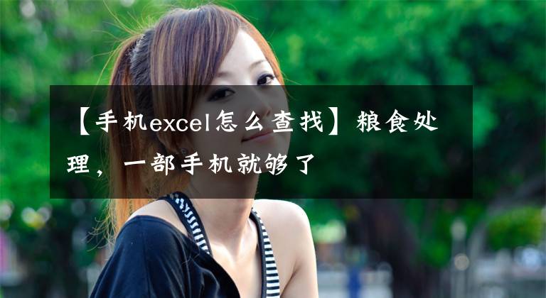 【手机excel怎么查找】粮食处理，一部手机就够了文章配图
