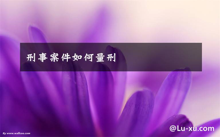刑事案件如何量刑文章配图