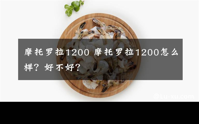 摩托罗拉1200 摩托罗拉1200怎么样？好不好？