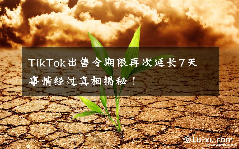 TikTok出售令期限再次延长7天 事情经过真相揭秘！文章配图