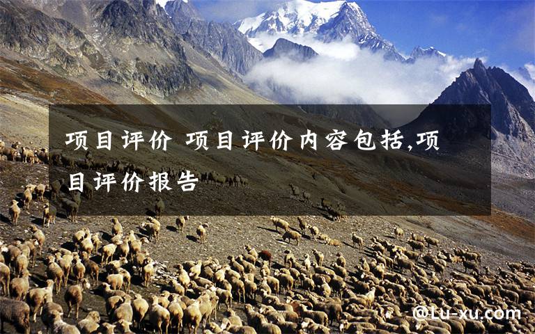 项目评价 项目评价内容包括,项目评价报告文章配图