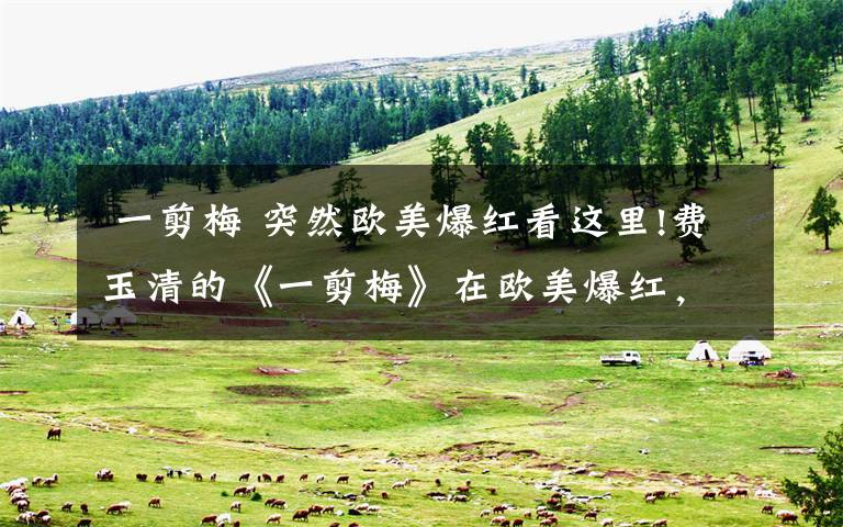  一剪梅 突然欧美爆红看这里!费玉清的《一剪梅》在欧美爆红，拿下多国冠军，外国人纷纷翻唱文章配图
