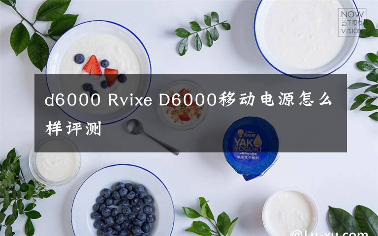 d6000 Rvixe D6000移动电源怎么样评测文章配图