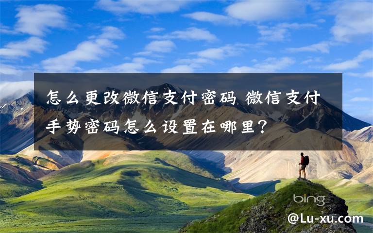 怎么更改微信支付密码 微信支付手势密码怎么设置在哪里？文章配图