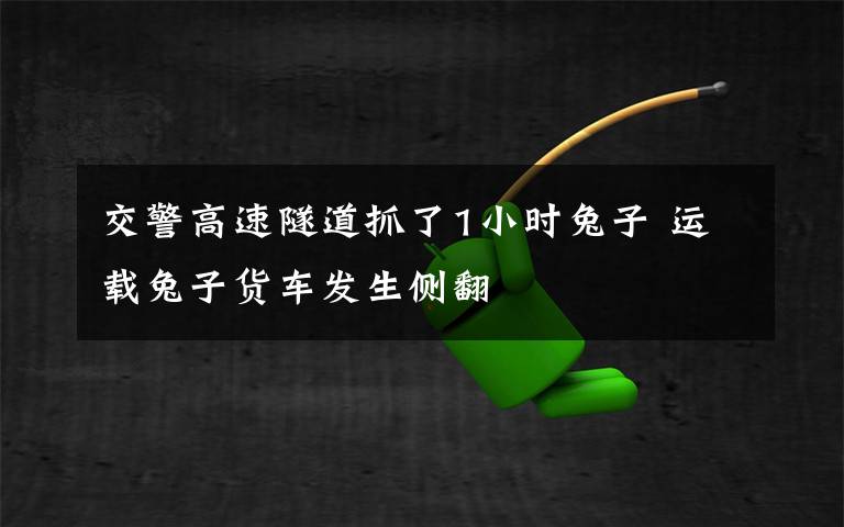 交警高速隧道抓了1小时兔子 运载兔子货车发生侧翻文章配图