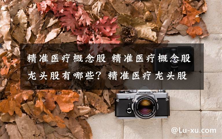 精准医疗概念股 精准医疗概念股龙头股有哪些？精准医疗龙头股概念股一览文章配图