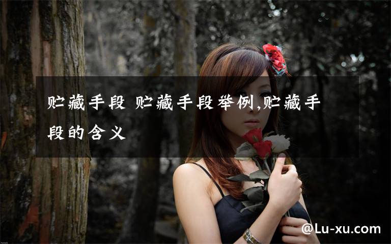 贮藏手段 贮藏手段举例,贮藏手段的含义文章配图