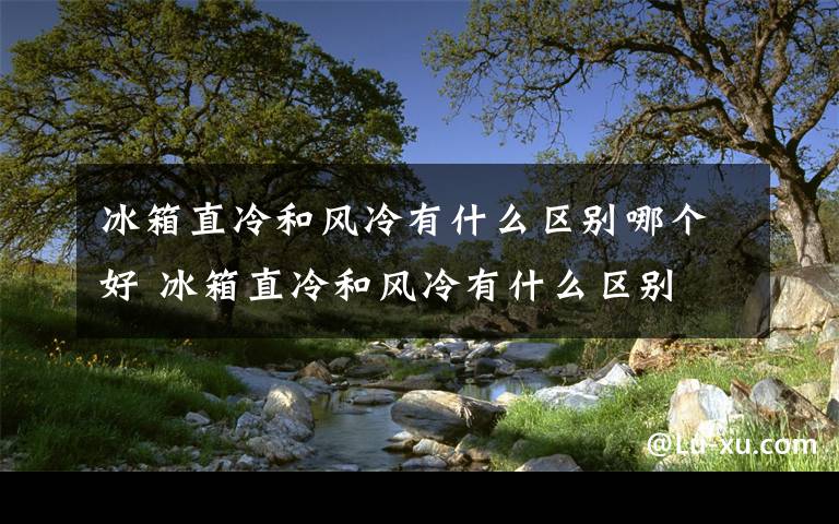 冰箱直冷和风冷有什么区别哪个好 冰箱直冷和风冷有什么区别 冰箱直冷和风冷区别【详解】文章配图