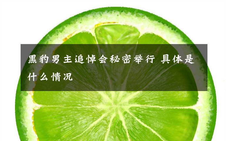 黑豹男主追悼会秘密举行 具体是什么情况文章配图
