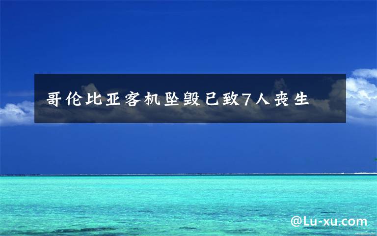 哥伦比亚客机坠毁已致7人丧生文章配图
