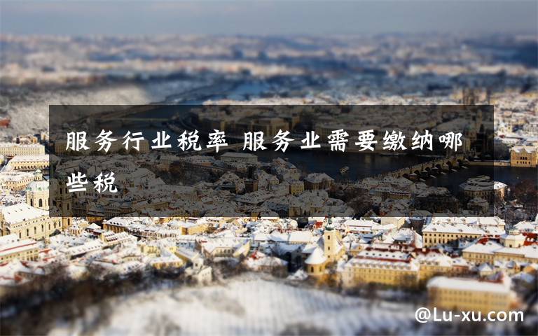 服务行业税率 服务业需要缴纳哪些税文章配图