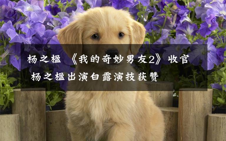 杨之楹 《我的奇妙男友2》收官 杨之楹出演白露演技获赞文章配图