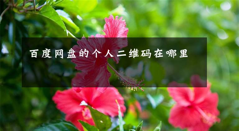 百度网盘的个人二维码在哪里文章配图