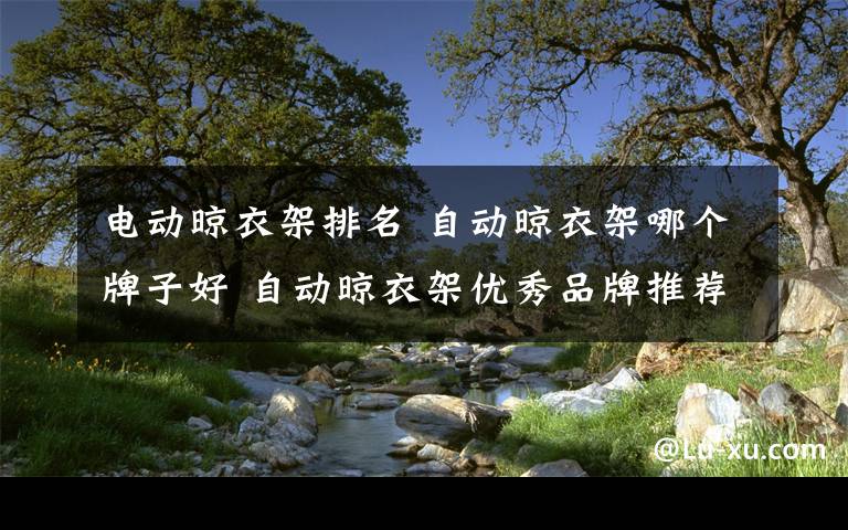 电动晾衣架排名 自动晾衣架哪个牌子好 自动晾衣架优秀品牌推荐【图文介绍】文章配图