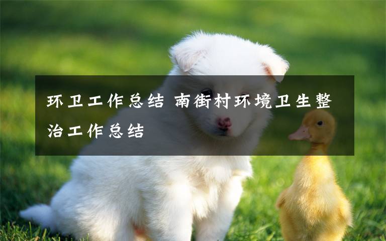 环卫工作总结 南街村环境卫生整治工作总结文章配图
