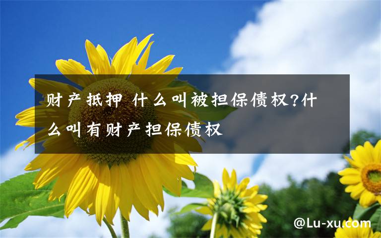 财产抵押 什么叫被担保债权?什么叫有财产担保债权文章配图