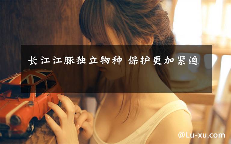 长江江豚独立物种 保护更加紧迫文章配图