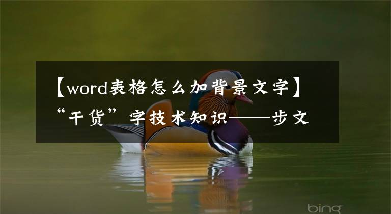 【word表格怎么加背景文字】“干货”字技术知识——步文章(2)文章配图