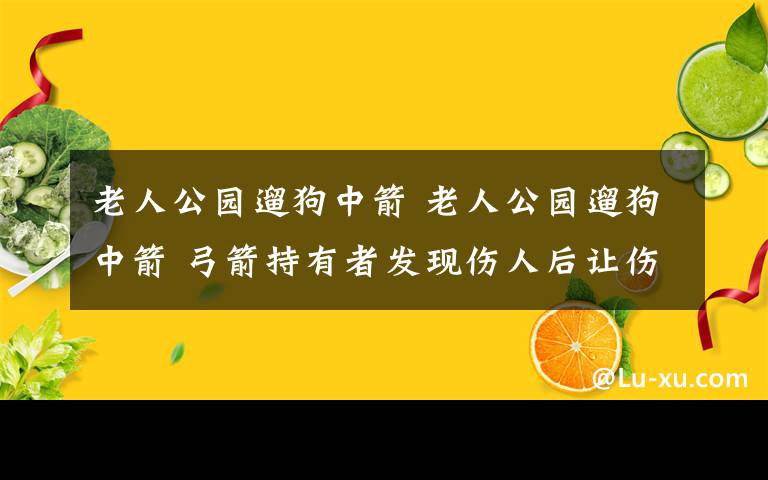 老人公园遛狗中箭 老人公园遛狗中箭 弓箭持有者发现伤人后让伤人同伴先行离开现场文章配图